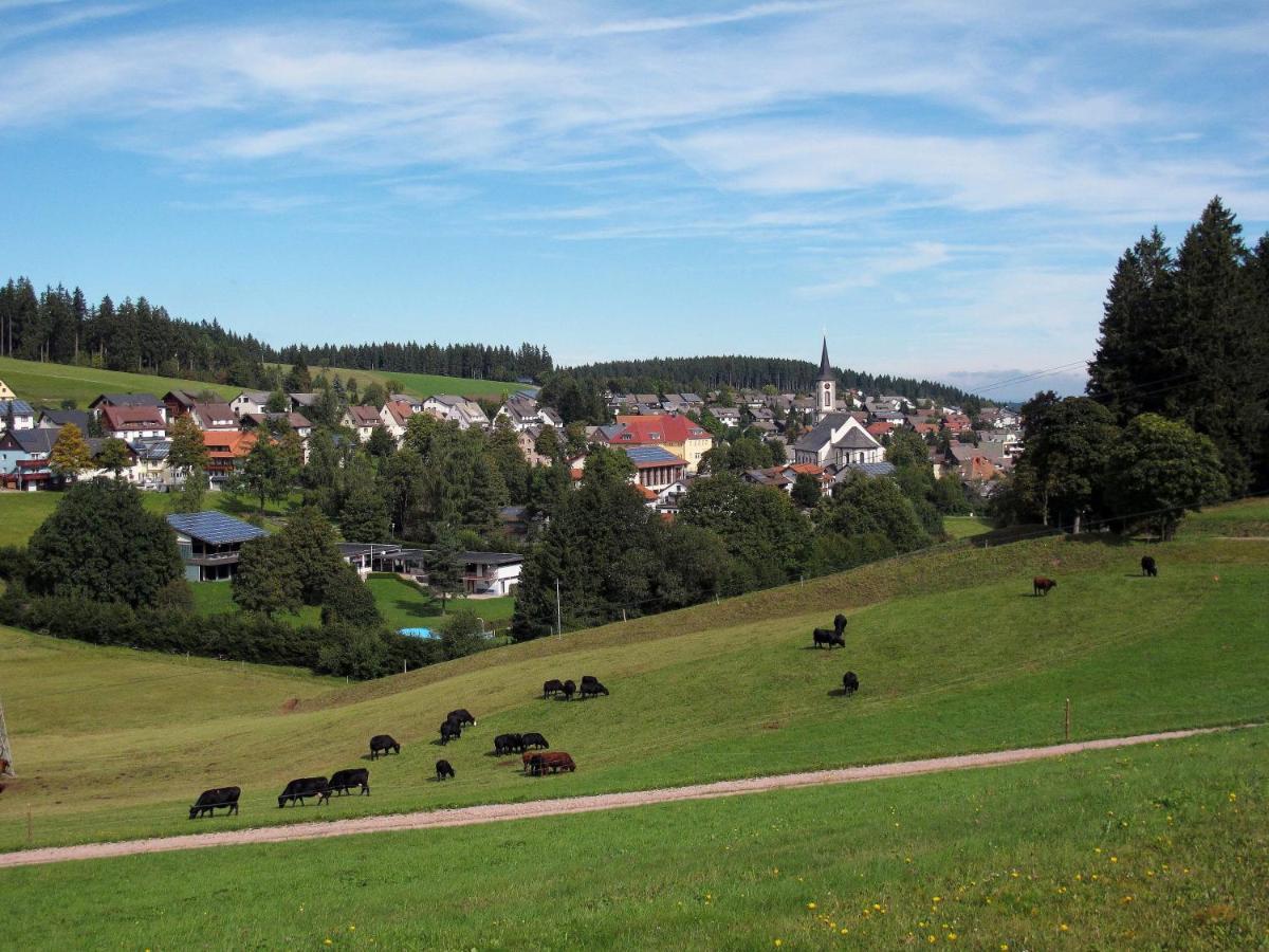 Landhotel Garni Schweizerhaus Schönwalde Εξωτερικό φωτογραφία