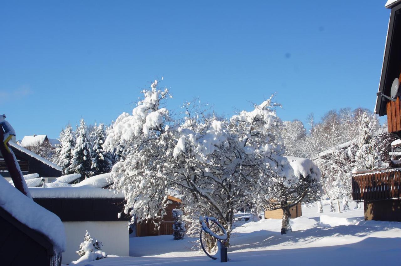 Landhotel Garni Schweizerhaus Schönwalde Εξωτερικό φωτογραφία